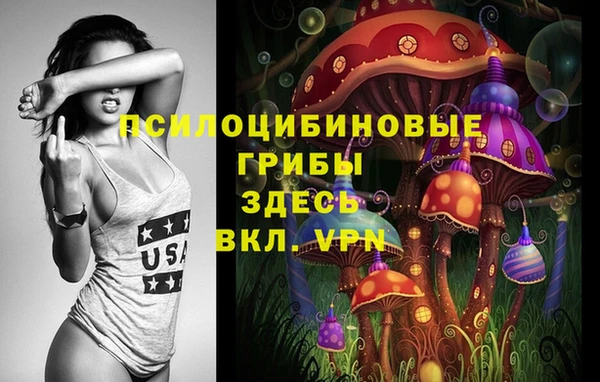 гашишное масло Богородицк