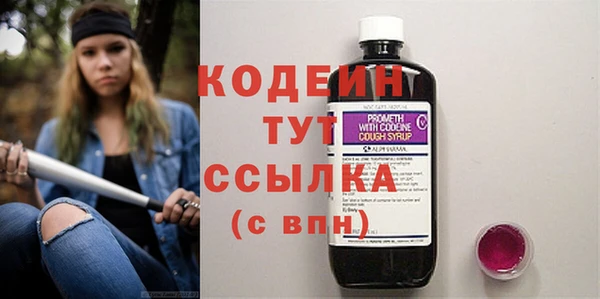 PSILOCYBIN Богданович