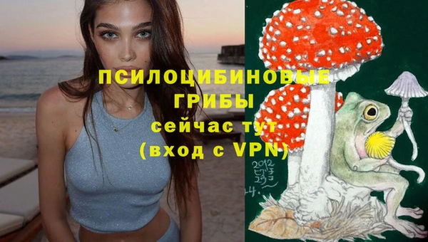 PSILOCYBIN Богданович